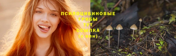 спиды Алексеевка