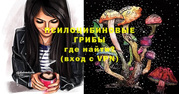спиды Алексеевка